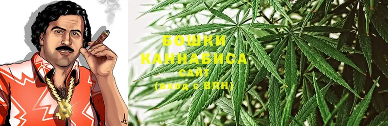 Канабис Ganja  Гай 